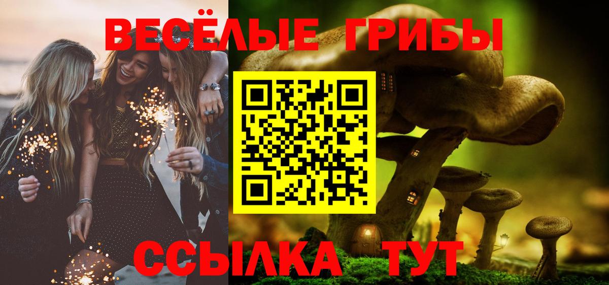Галлюциногенные грибы Cubensis Осинники